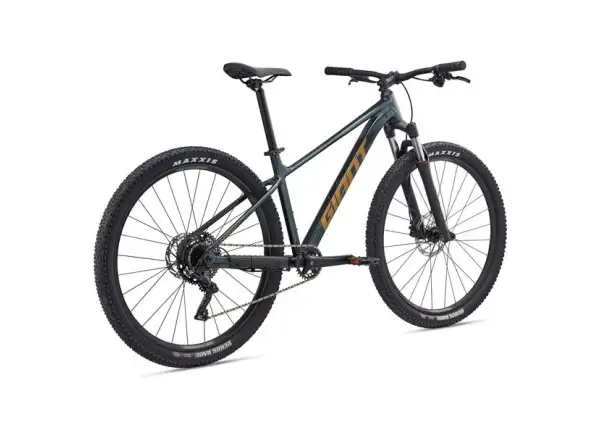 Giant Talon 29 2 mountain bike Asphalt Green