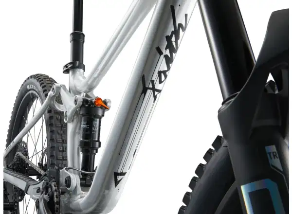 Giant Faith 24 children's full suspension bike Raw Aluminium