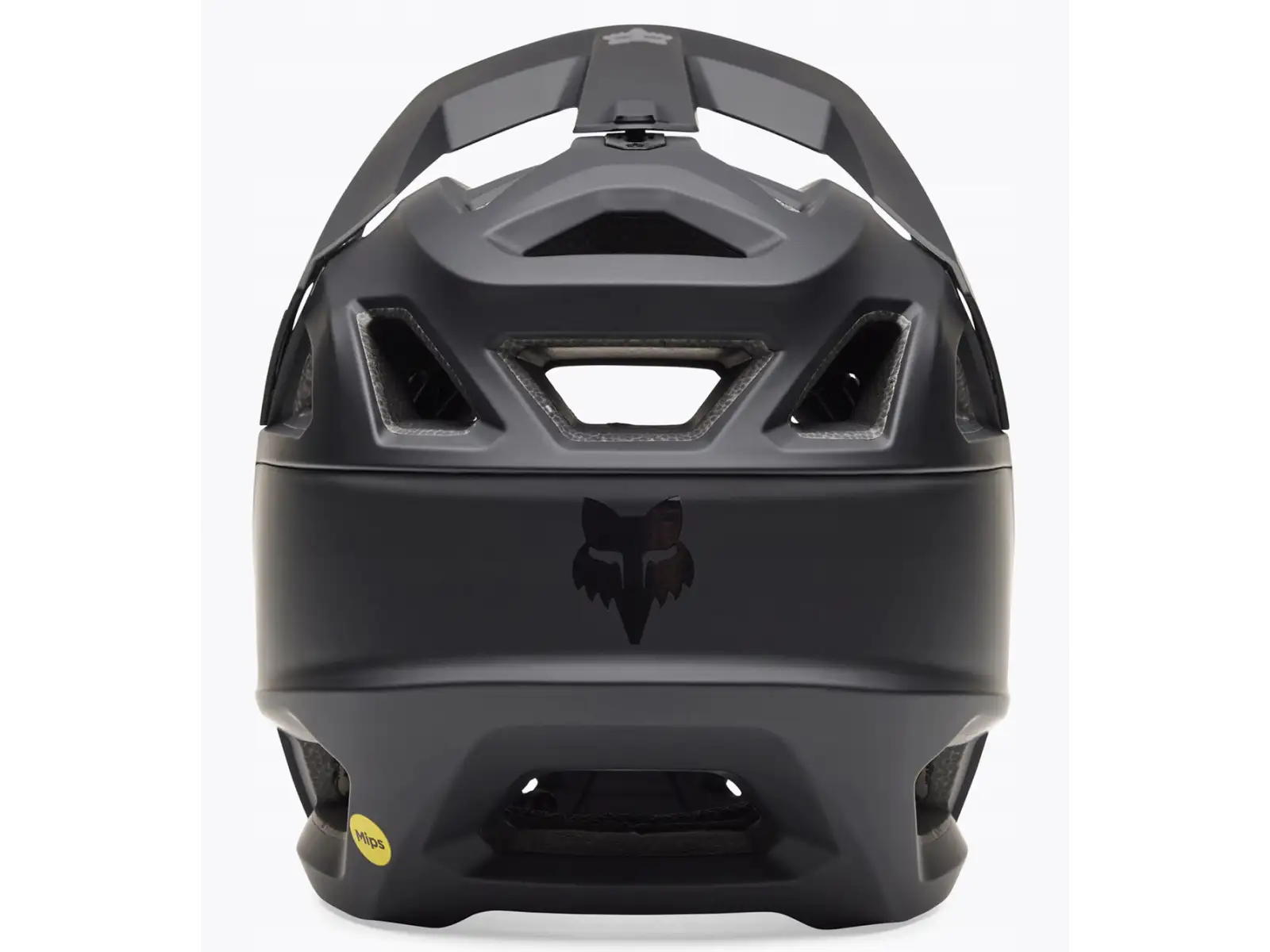 Fox Yth Proframe Ce youth downhill helmet Matte Black