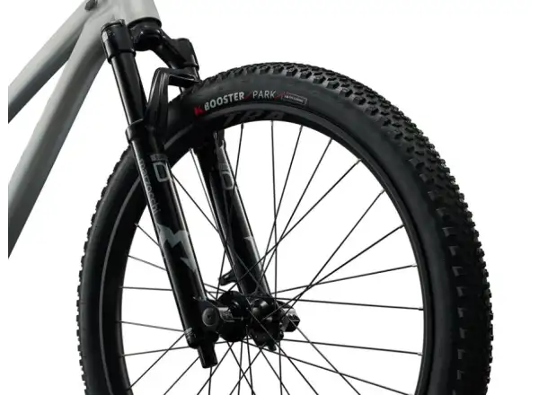 Liv STP 26 dirt bike One Size Brush Aluminum