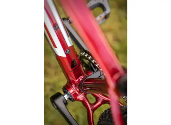 Superior Team 24 Gloss Dark Red/Hologram Chrome children's mountain bike