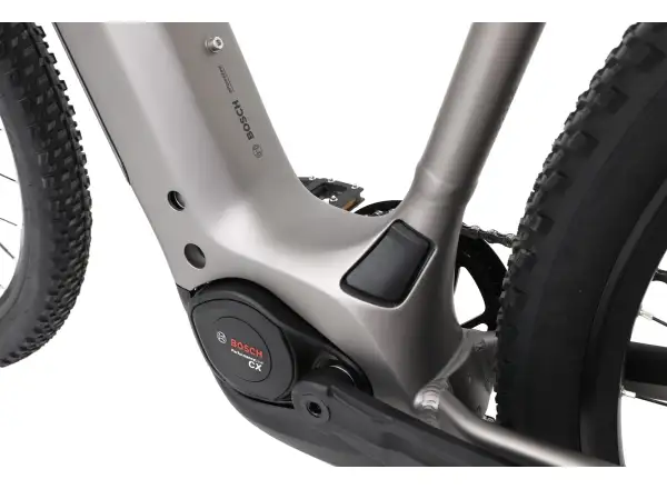 Apache Falcon 2 Bosch CX 800 Wh mountain e-bike grey