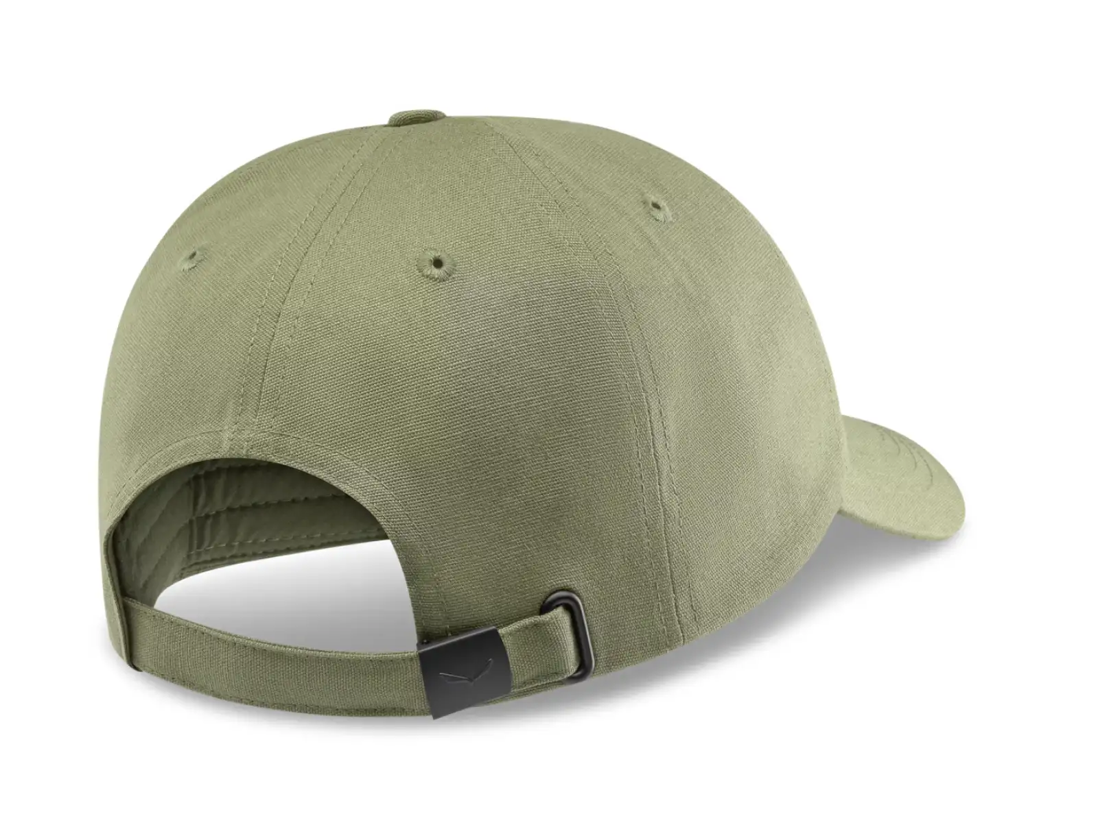 Salewa Graphic cap Faded Green