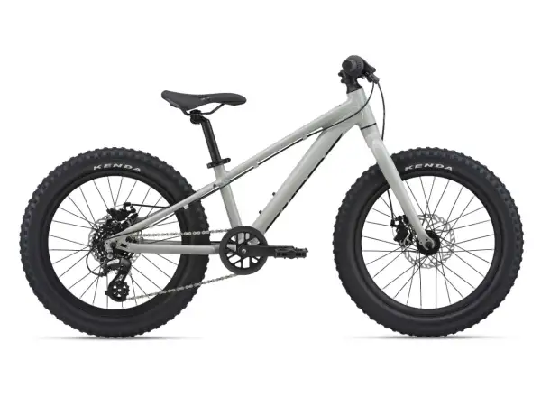 Giant STP 20 children's bike Concrete