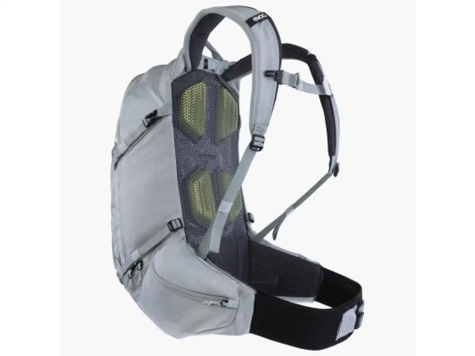 Evoc Explorer Pro 30 l backpack Silver