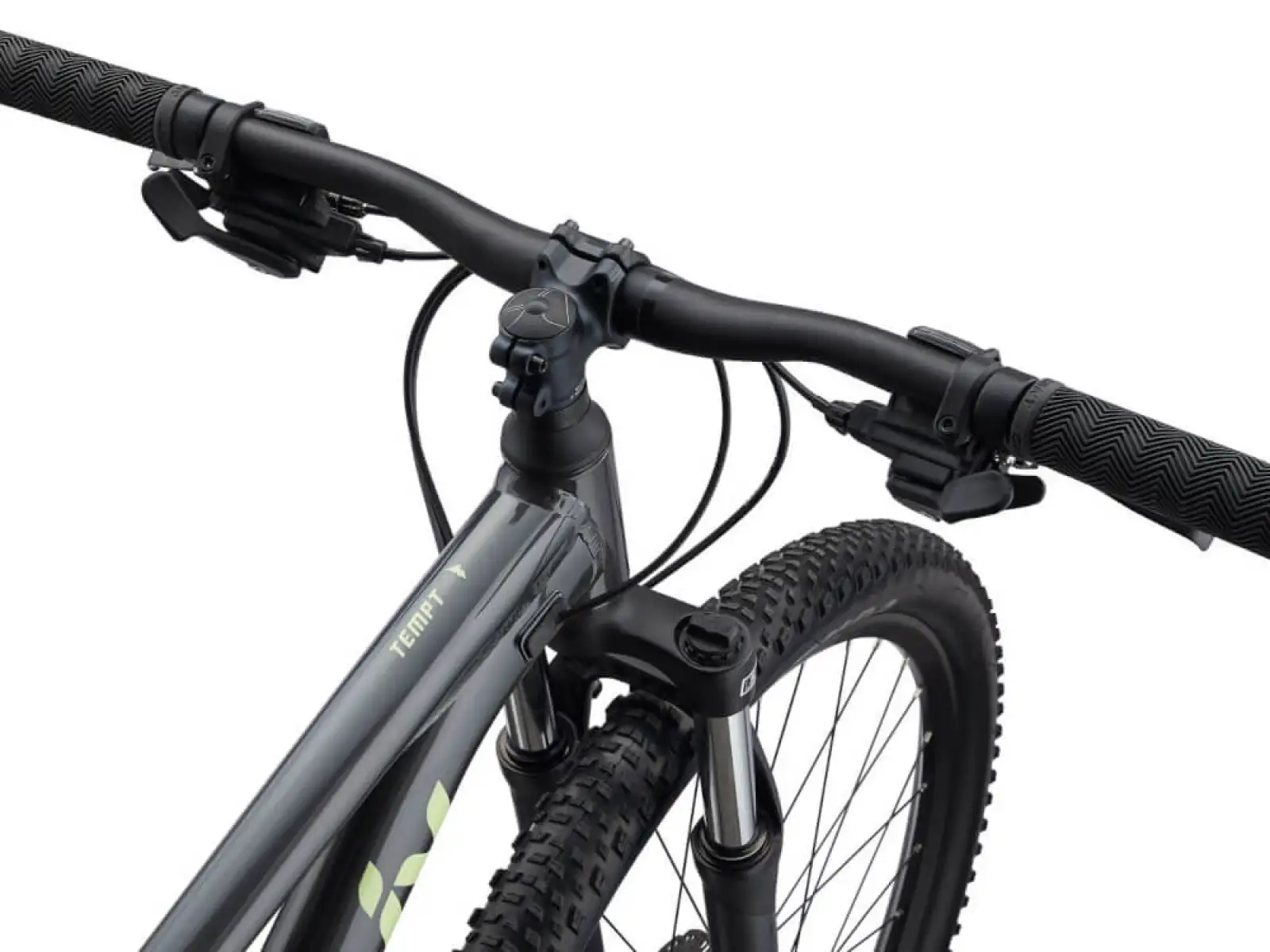 Liv Tempt 29 4 mountain bike Black Chrome