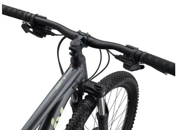 Liv Tempt 29 4 mountain bike Black Chrome