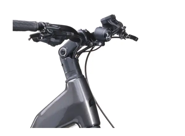 Crussis ONE-Country AX 8.12-M2(600) city e-bike