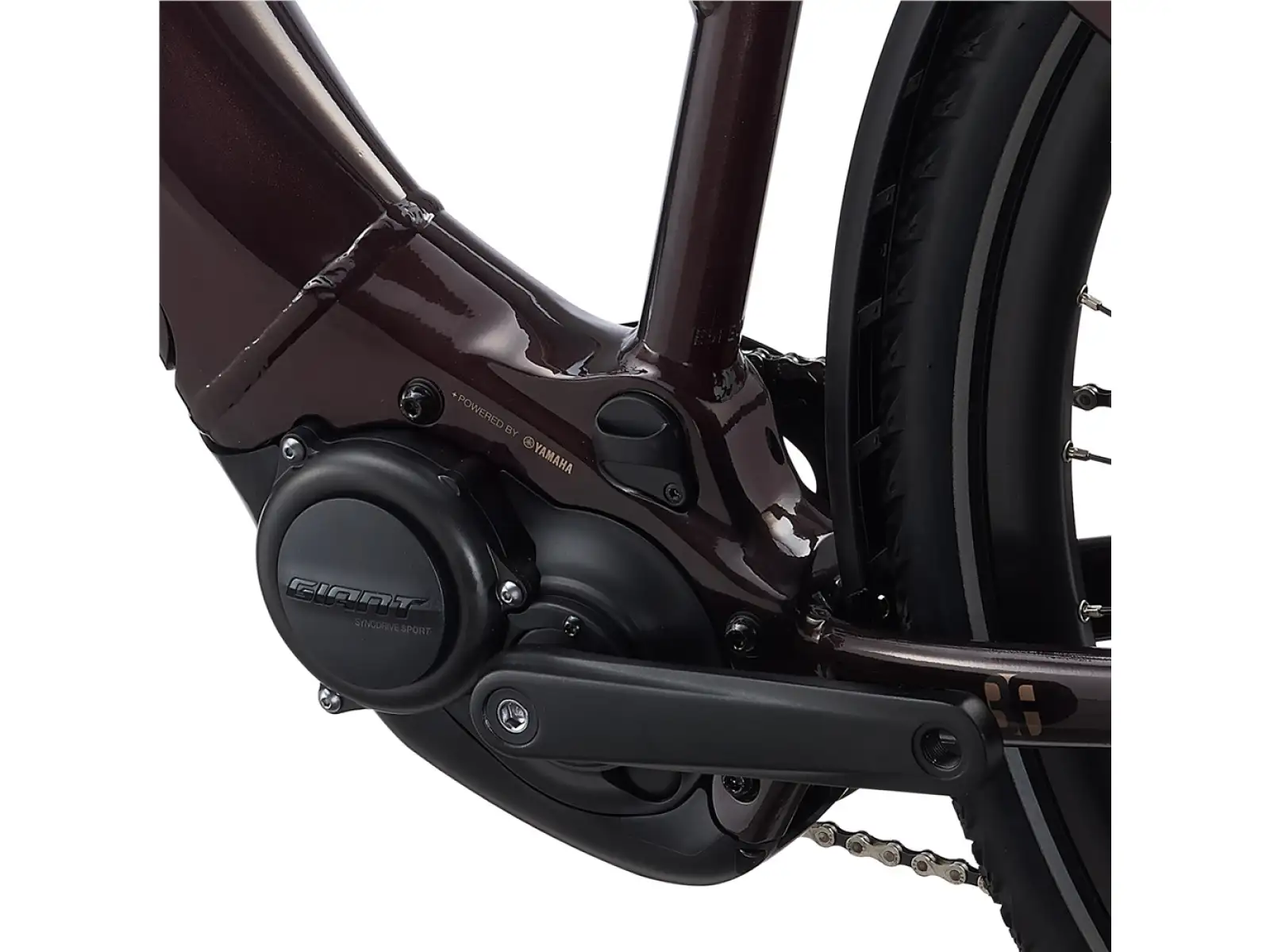 Liv Amiti E+2 trekking e-bike rosewood
