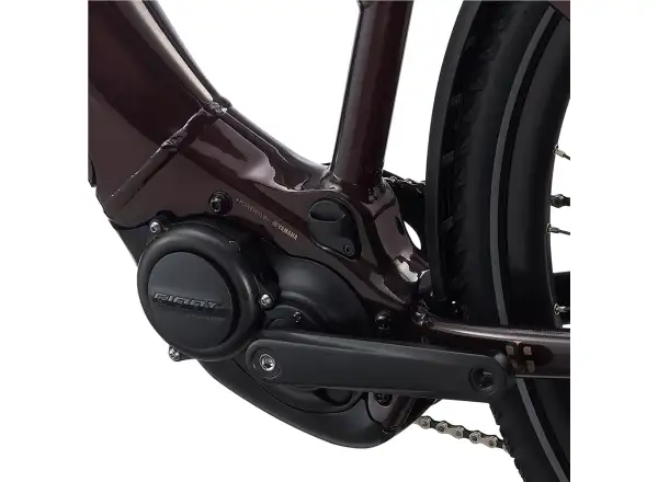 Liv Amiti E+2 trekking e-bike rosewood