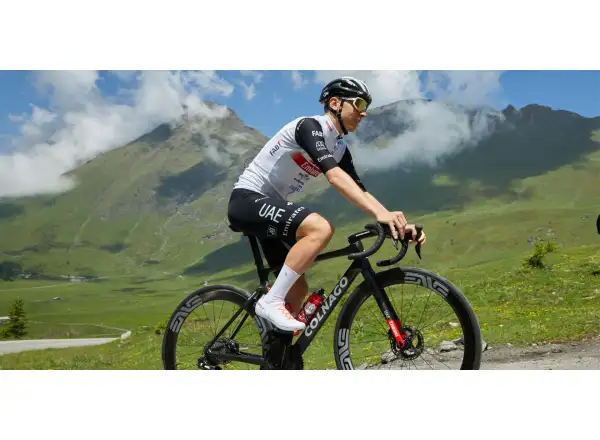 DMT Tadej Pogačar Limited Edition road men's cycling shoes white