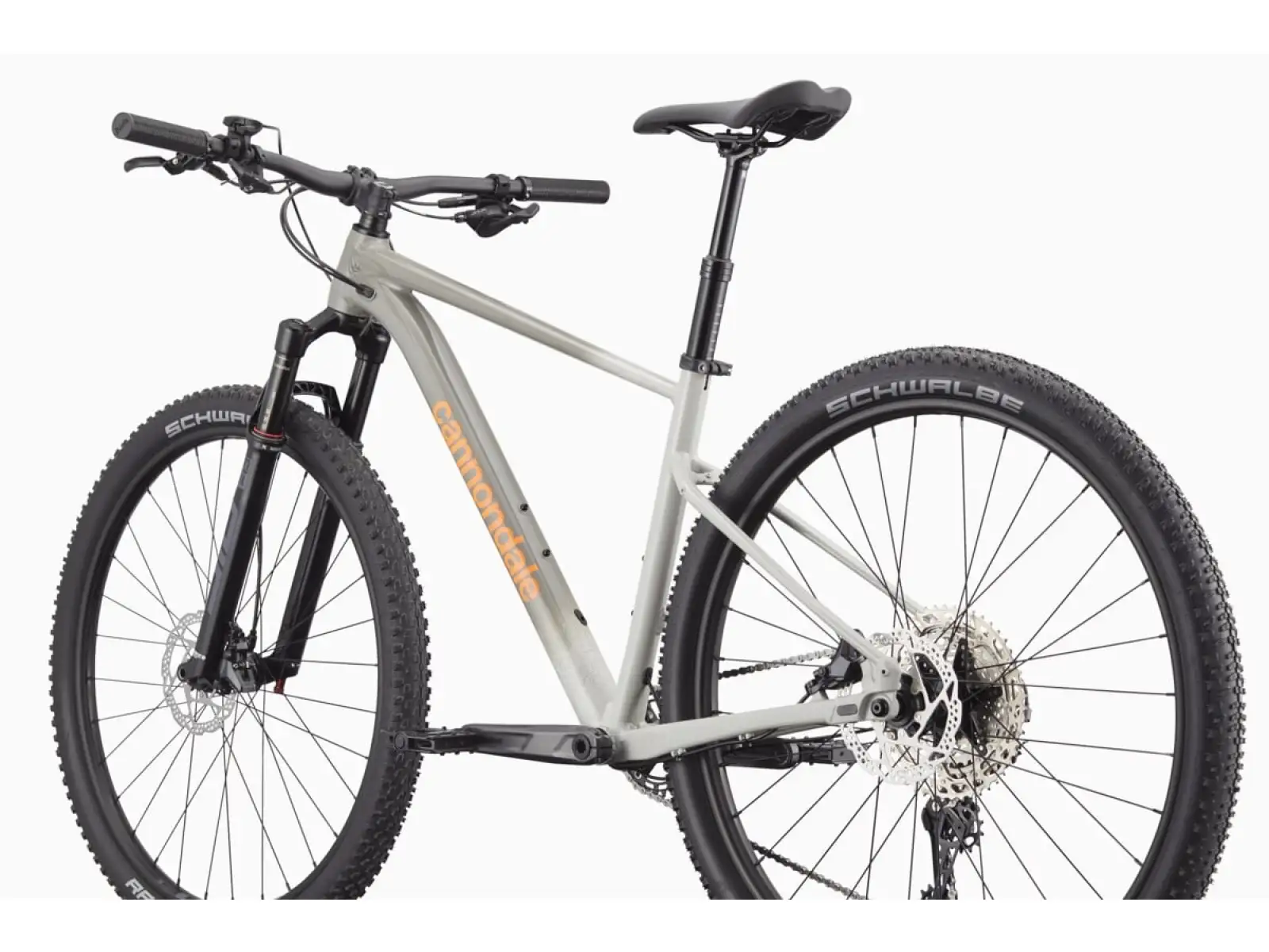 Cannondale Trail SL 1 29" mountain bike Slate Grey