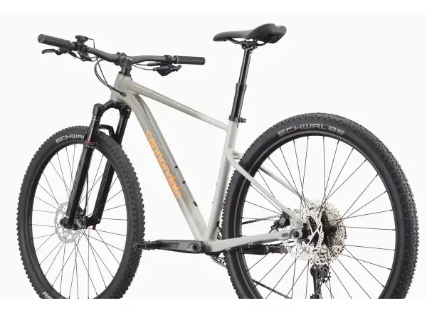 Cannondale Trail SL 1 29" mountain bike Slate Grey