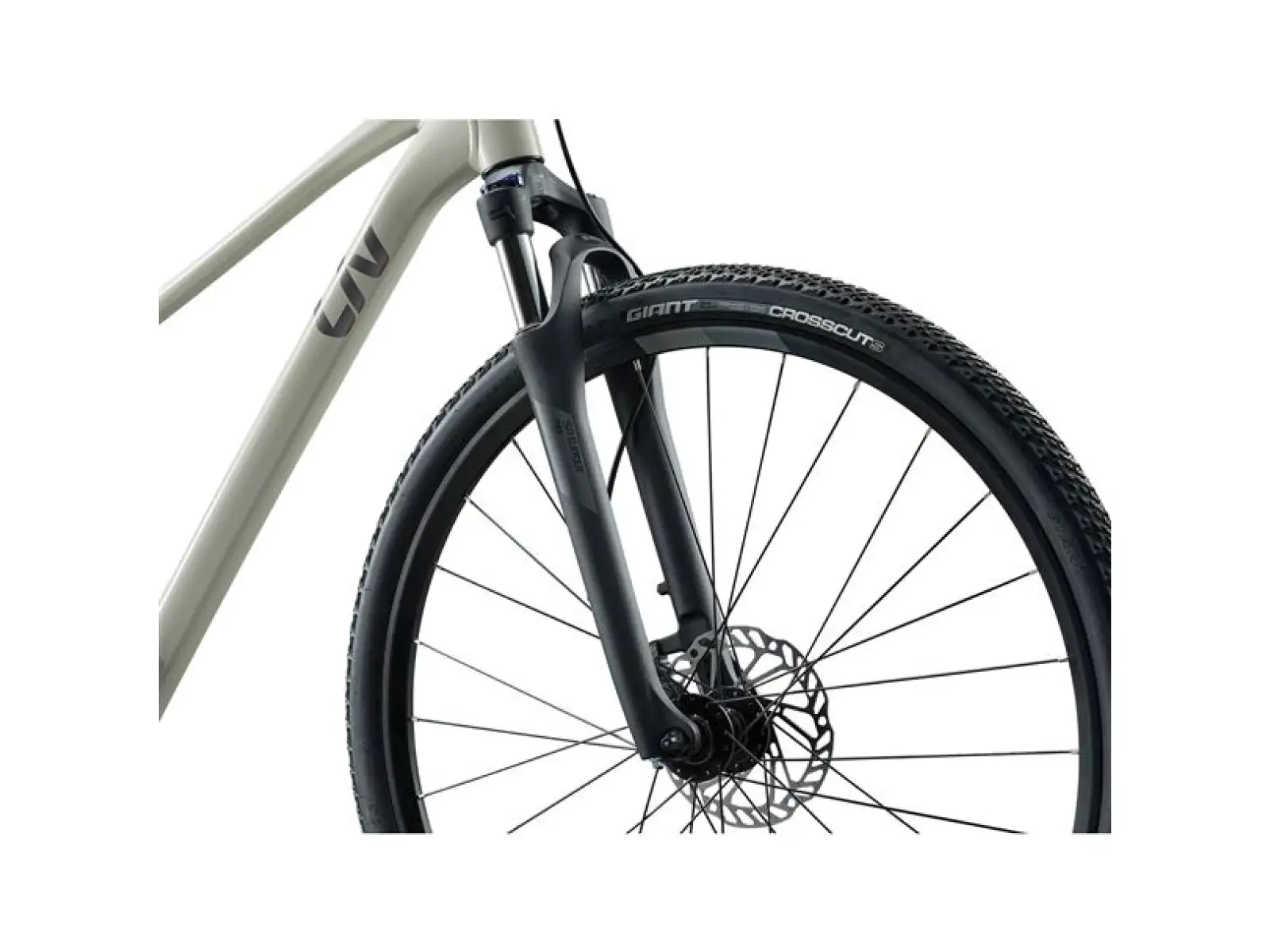 Giant Rove 3 trekking bike Pulp Gray