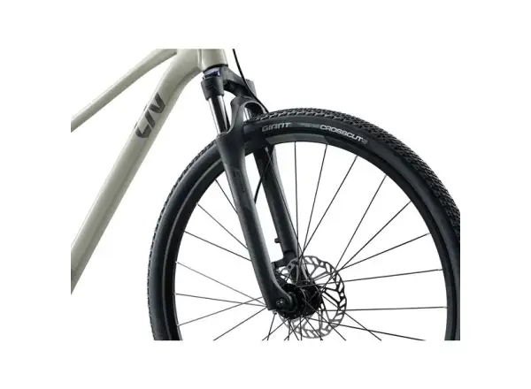 Giant Rove 3 trekking bike Pulp Gray