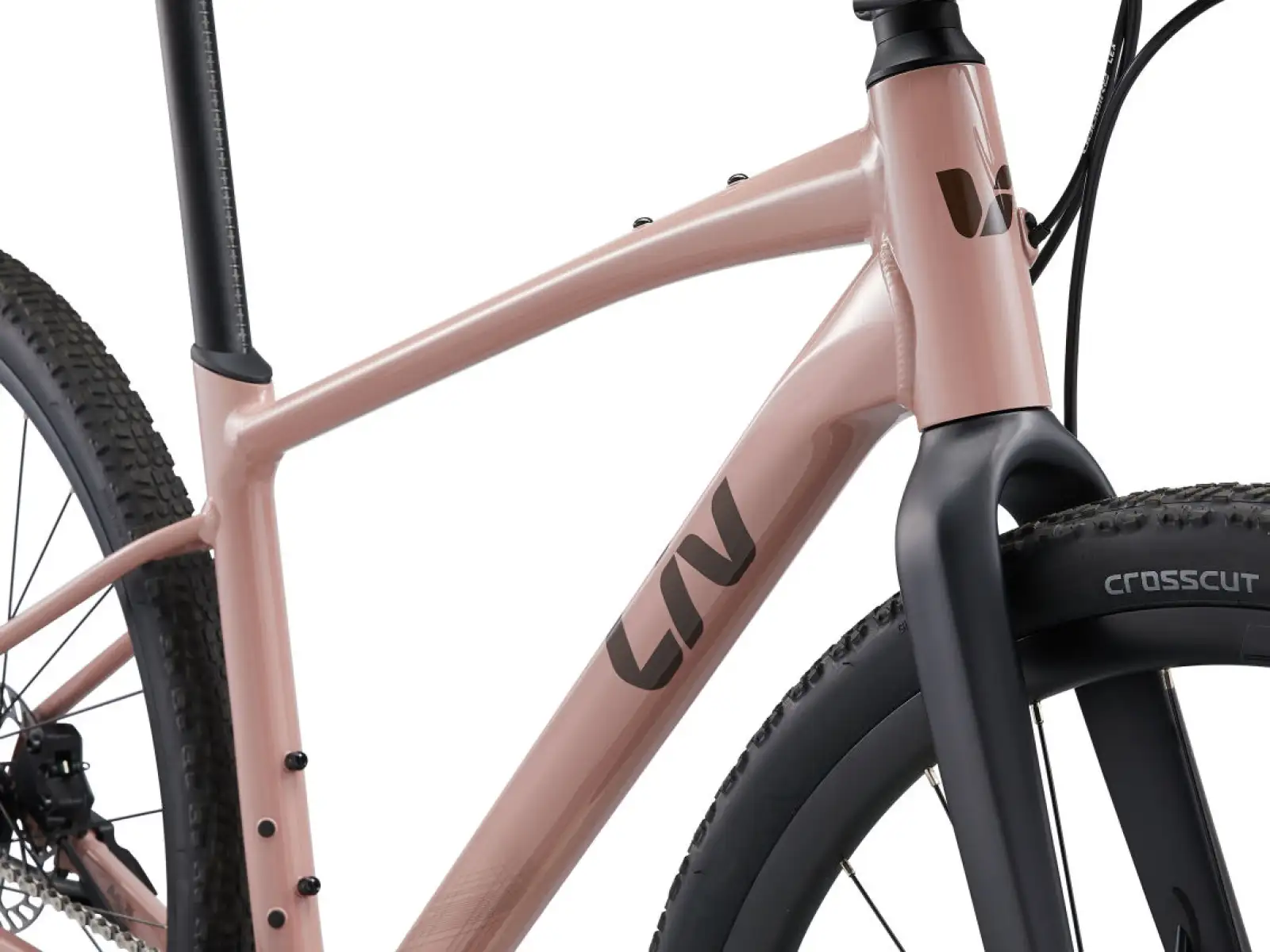 Liv Thrive GX fitness bike petra clay