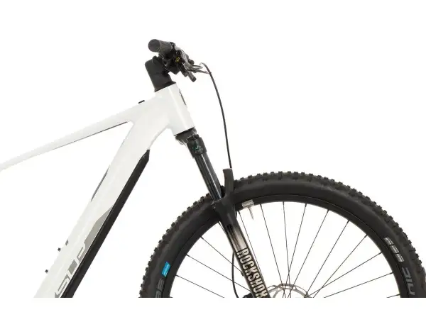 Superior eXP 9019 mountain e-bike Gloss White/Chrome Silver