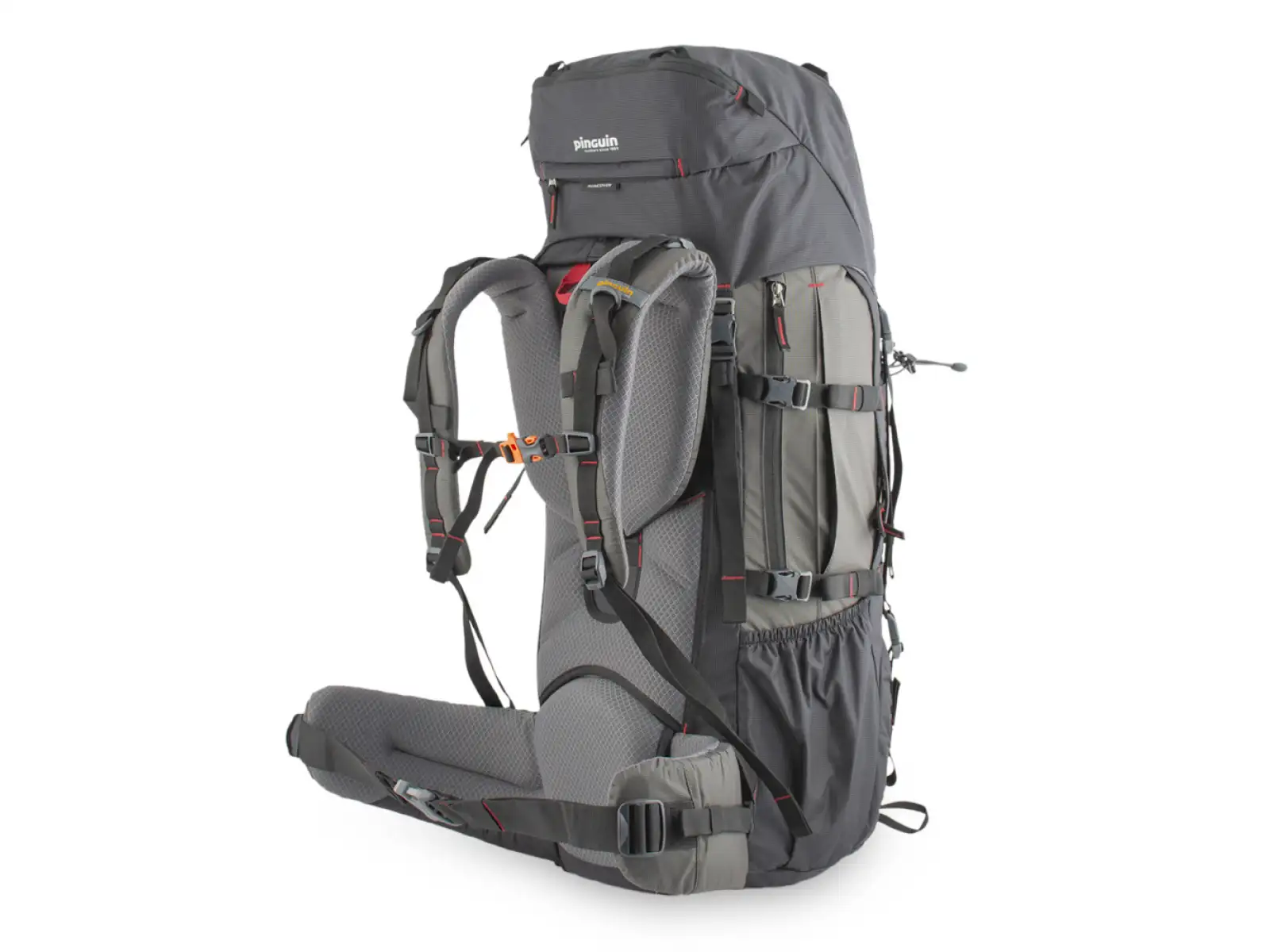 Pinguin Explorer 50 hiking backpack Nylon Black
