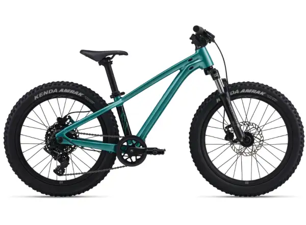 Giant STP 20 FS children's mountain bike Teal