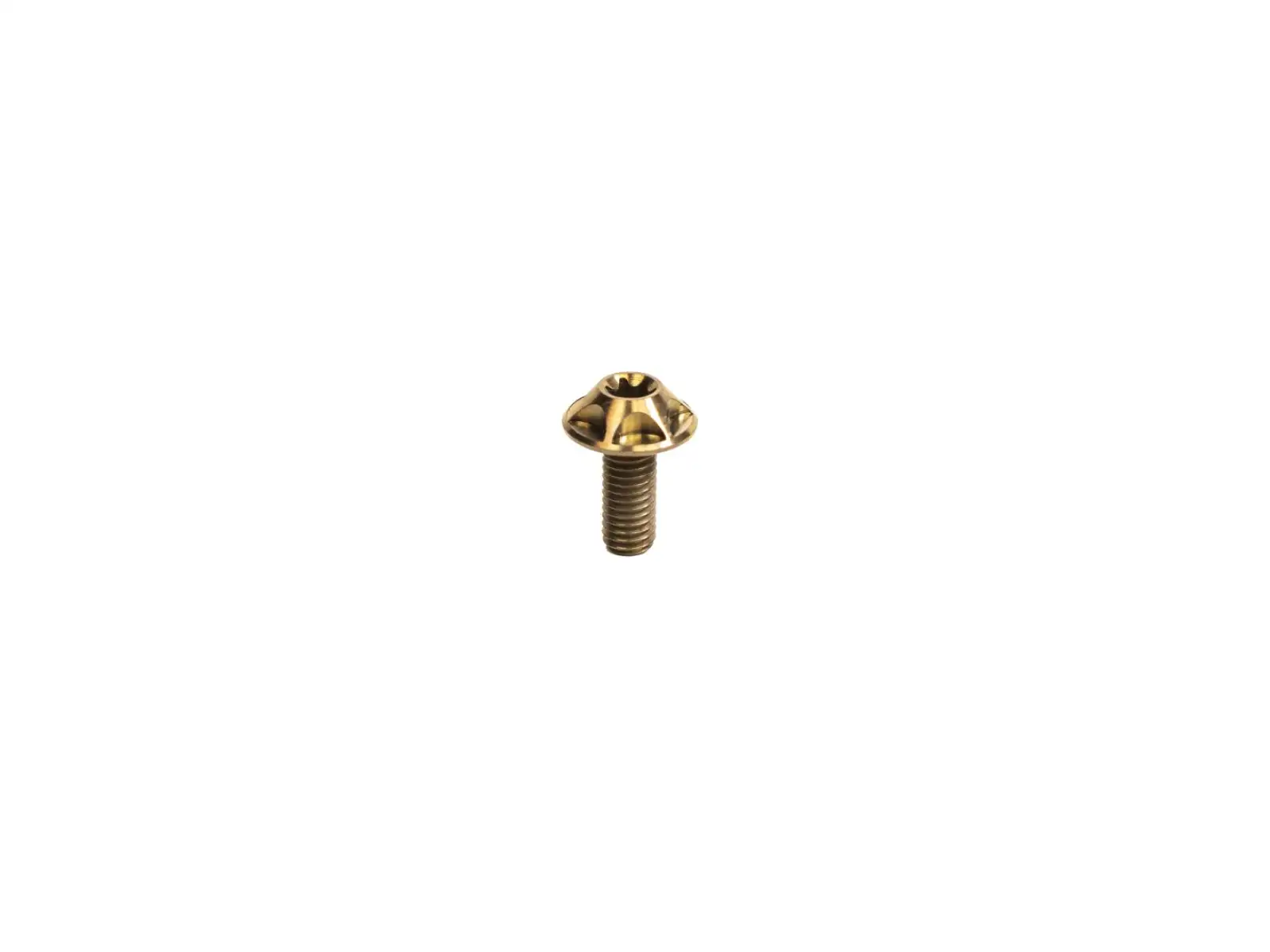 Silca Ti bolt set for bike cage Bourbon