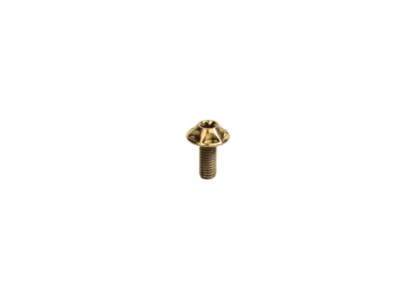 Silca Ti bolt set for bike cage Bourbon