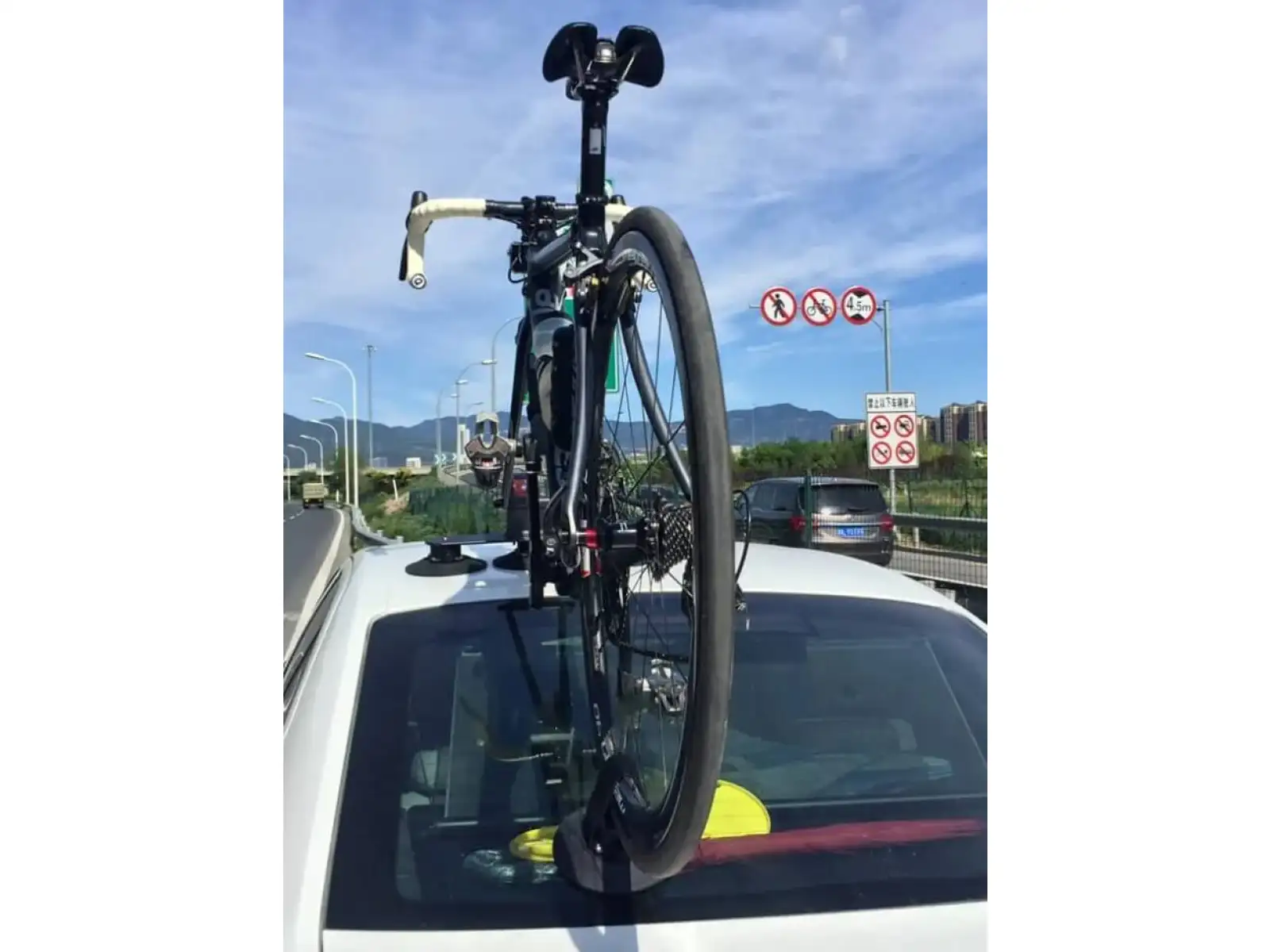 TreeFrog Elite 1 roof rack for front fork