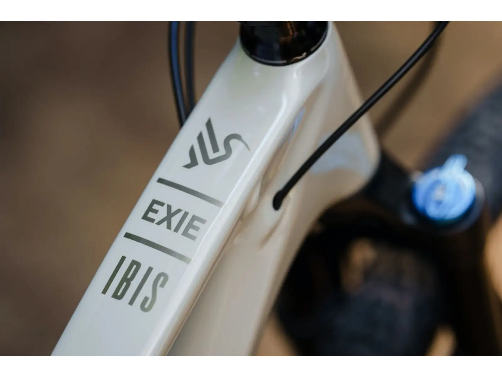 Ibis Exie V2 GX 29" mountain bike bone