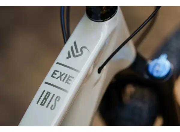 Ibis Exie V2 GX 29" mountain bike bone