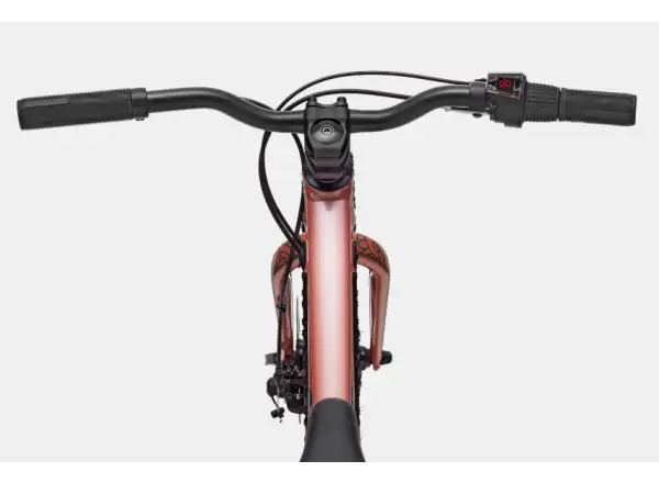 Cannondale Trail Plus 20 children's bike Salmon