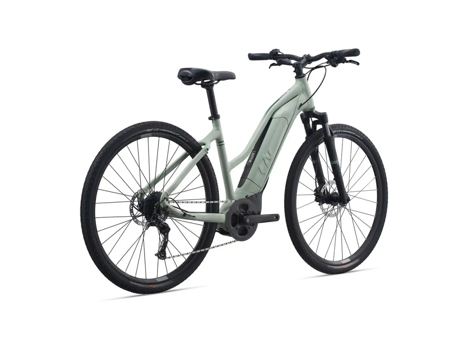Liv Rove E+ women's trekking e-bike laurel