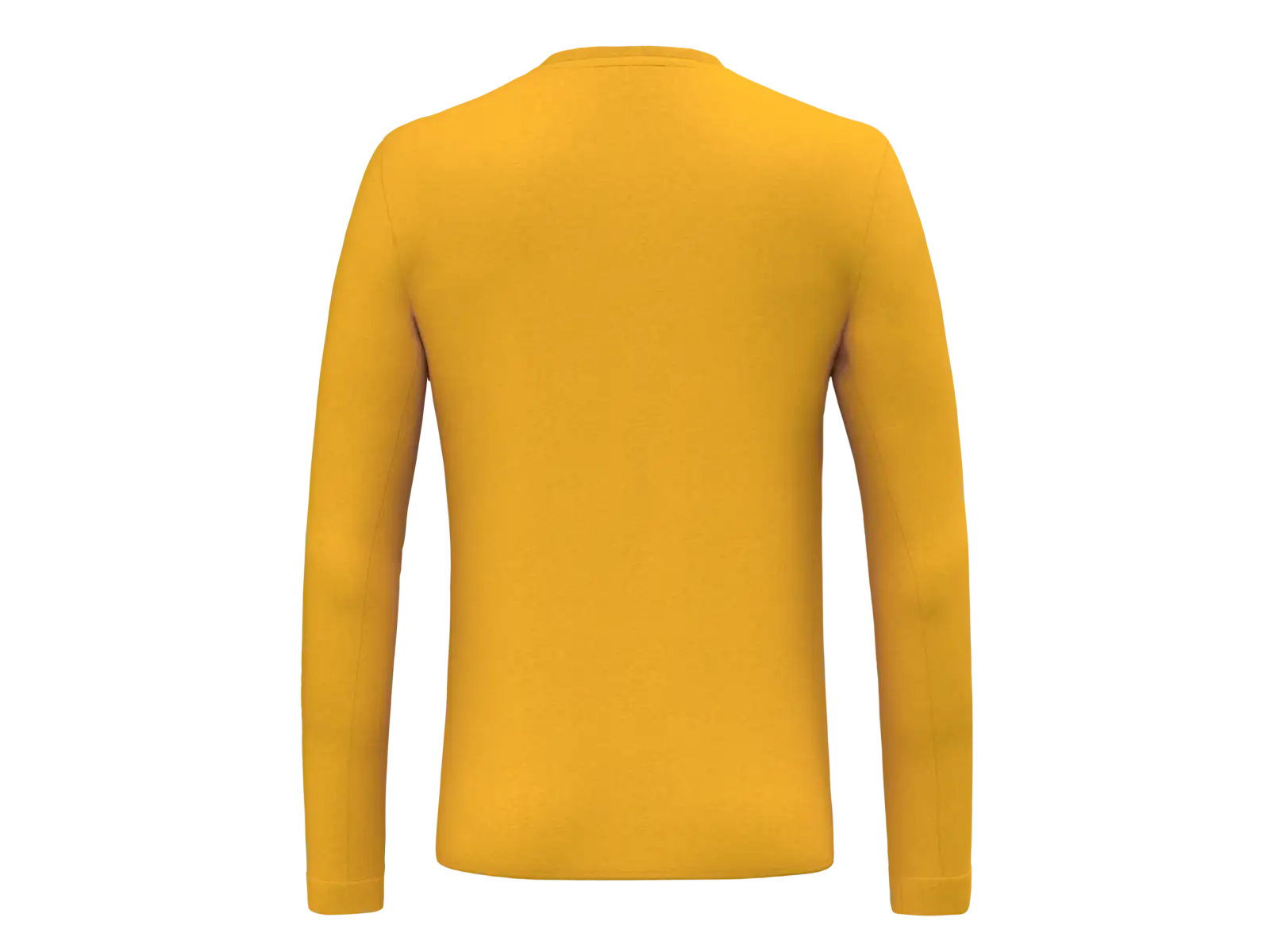Salewa Solidlogo Dry Long Sleeve T-Shirt Men Gold