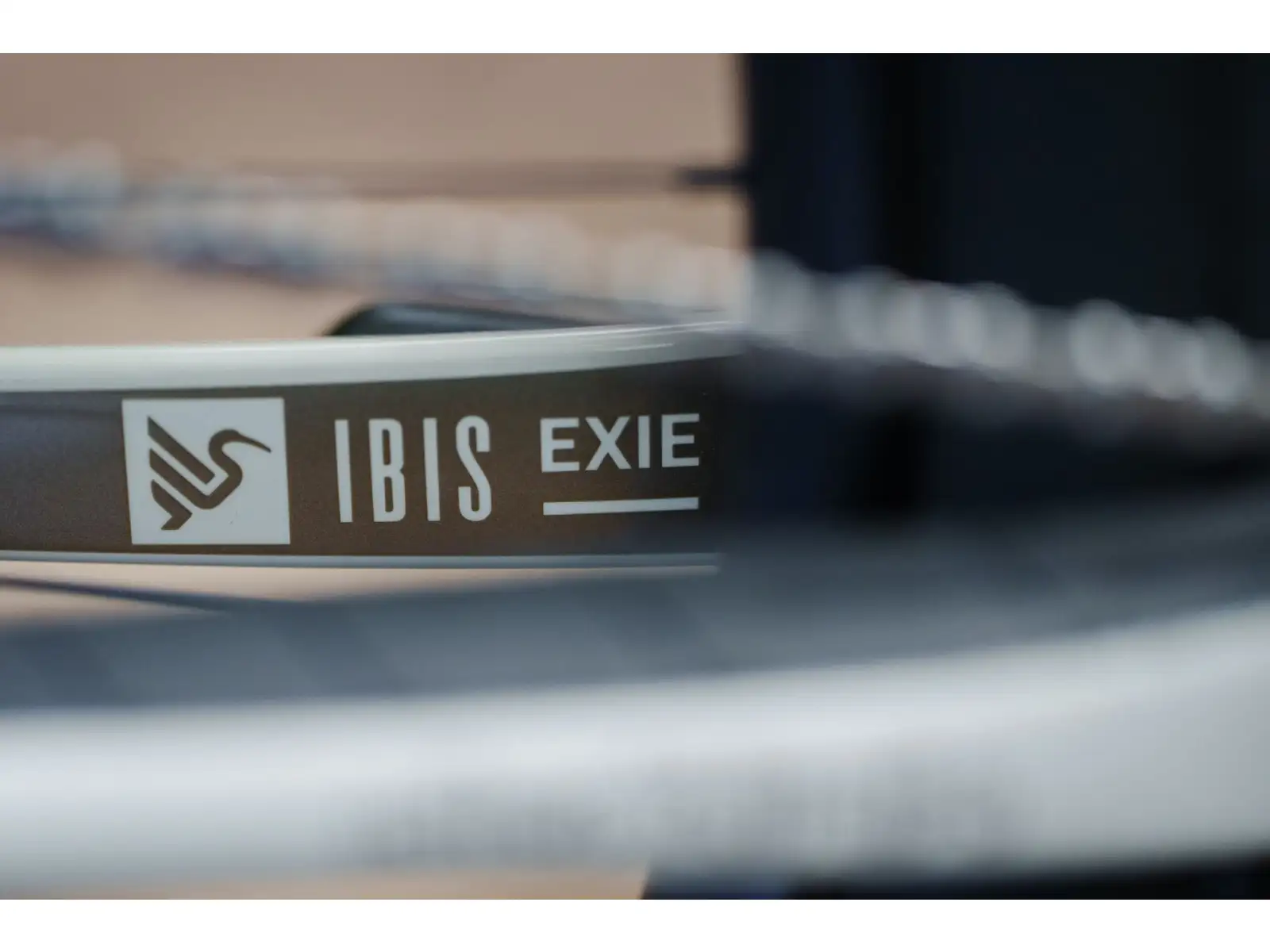 Ibis Exie V2 GX 29" mountain bike bone