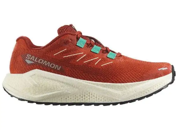Salomon Aero Blaze 3 GRVL W women's running shoes Burnt Ochre/Vanilla Ice/Vanilla Ice