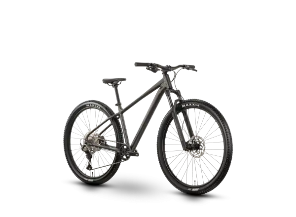Raymon Nayta Ultra 29" mountain bike Anthracite/Black