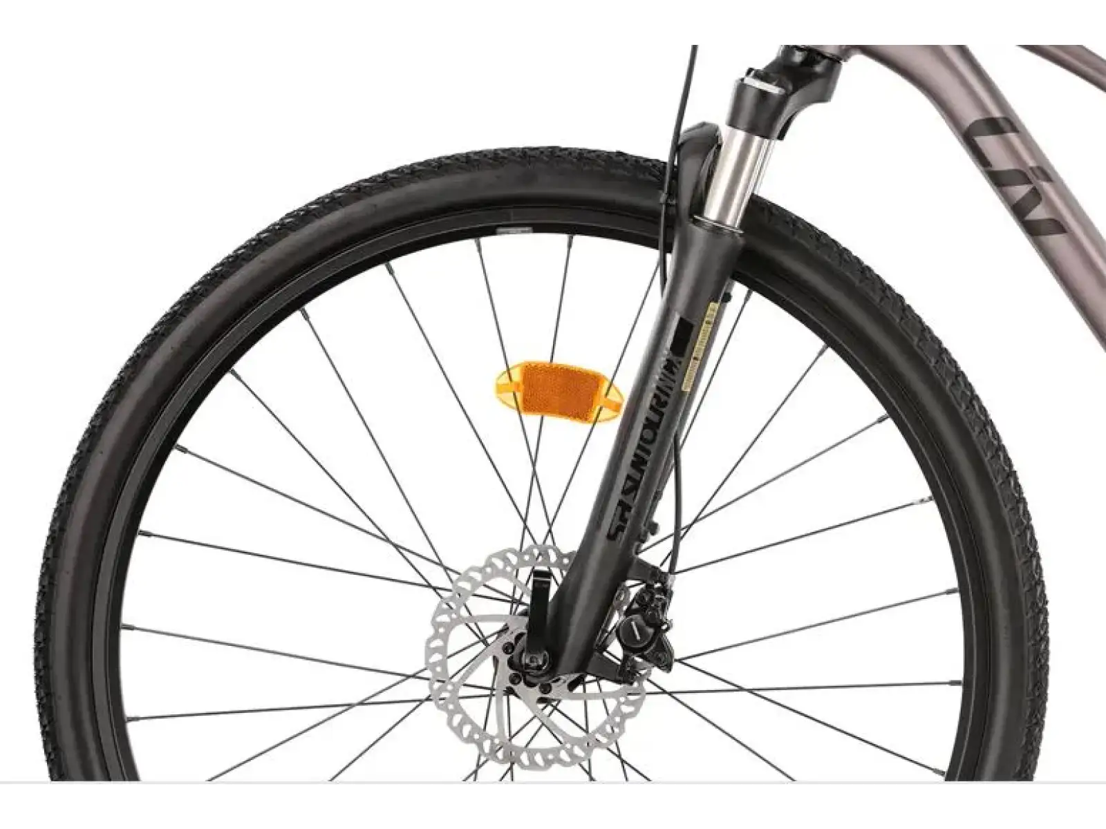 Liv Rove 1 DD women's trekking bike Dark Eclipse