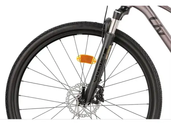 Liv Rove 1 DD women's trekking bike Dark Eclipse