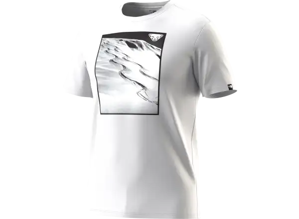 Dynafit Graphic Cotton men's T-shirt short sleeve Nimbus/First Track