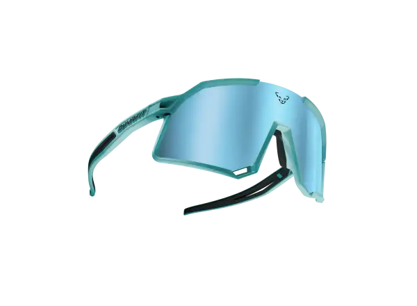 Dynafit Trail Evo sunglasses Marine Blue/Blueberry