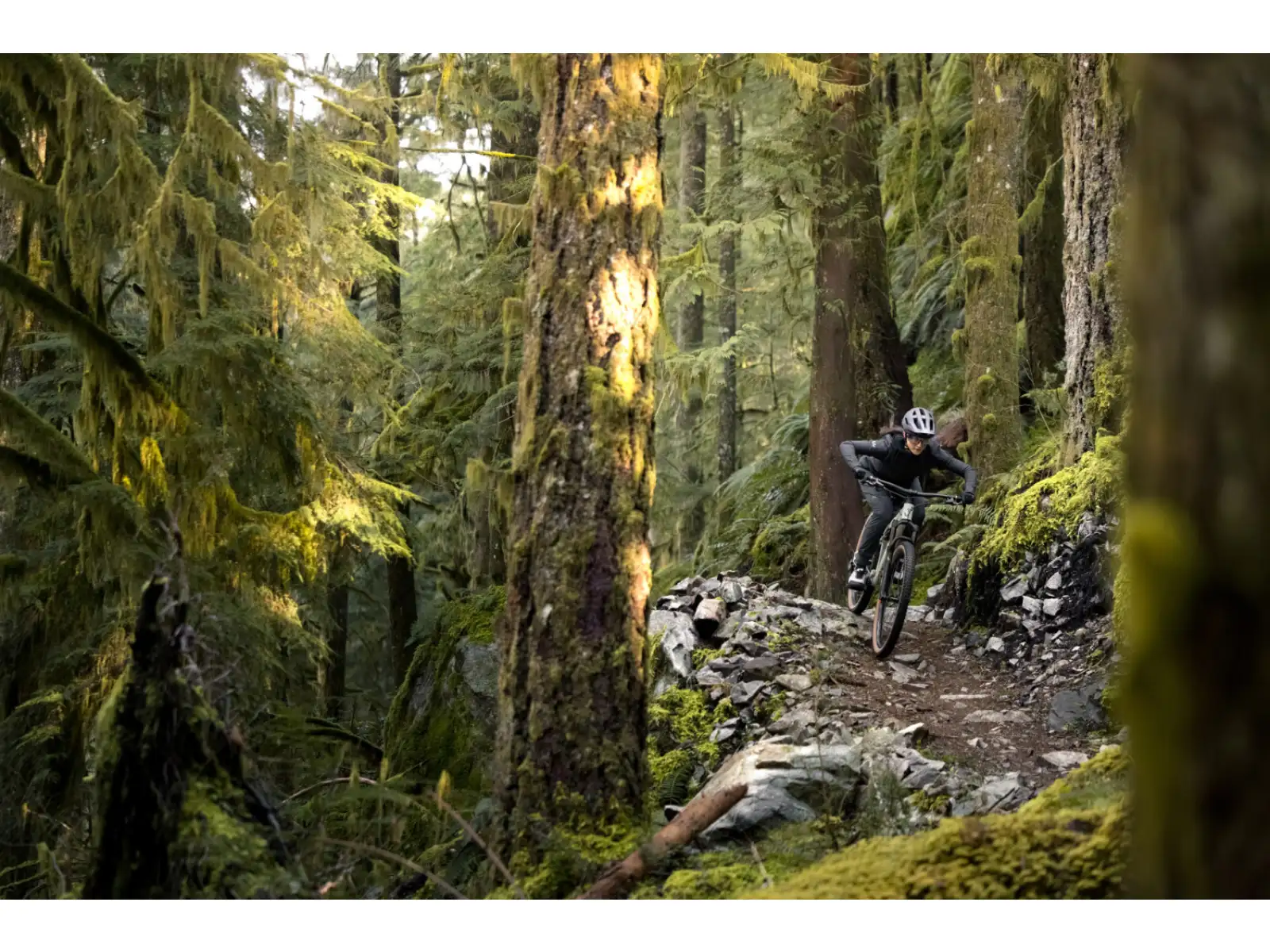 Liv Embolden 2026 mountain bike Pale Moss