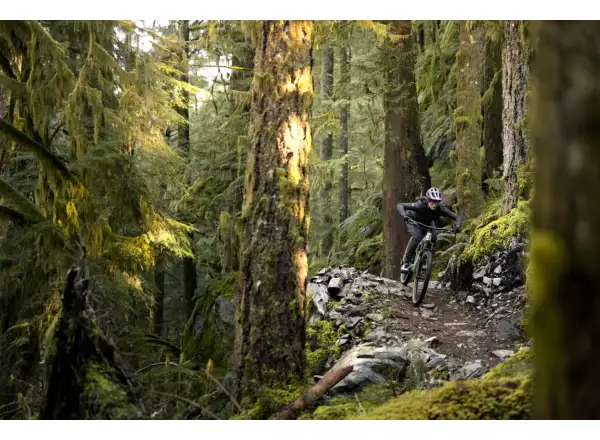 Liv Embolden 2026 mountain bike Pale Moss