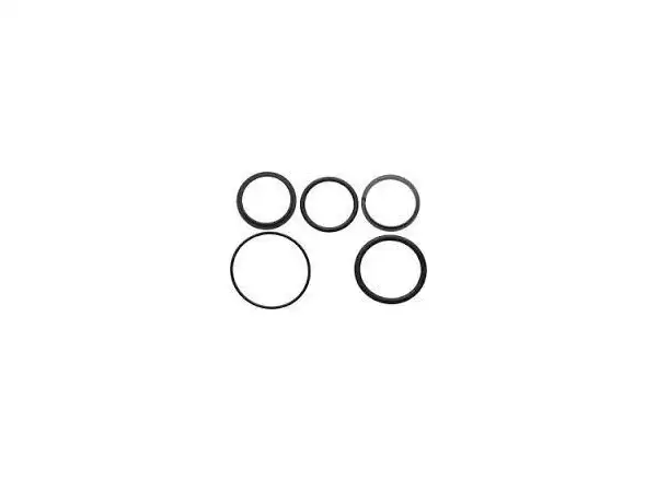 Rock Shox Service Kit Basic for Ario and Monarch Air Can (2008-2010)