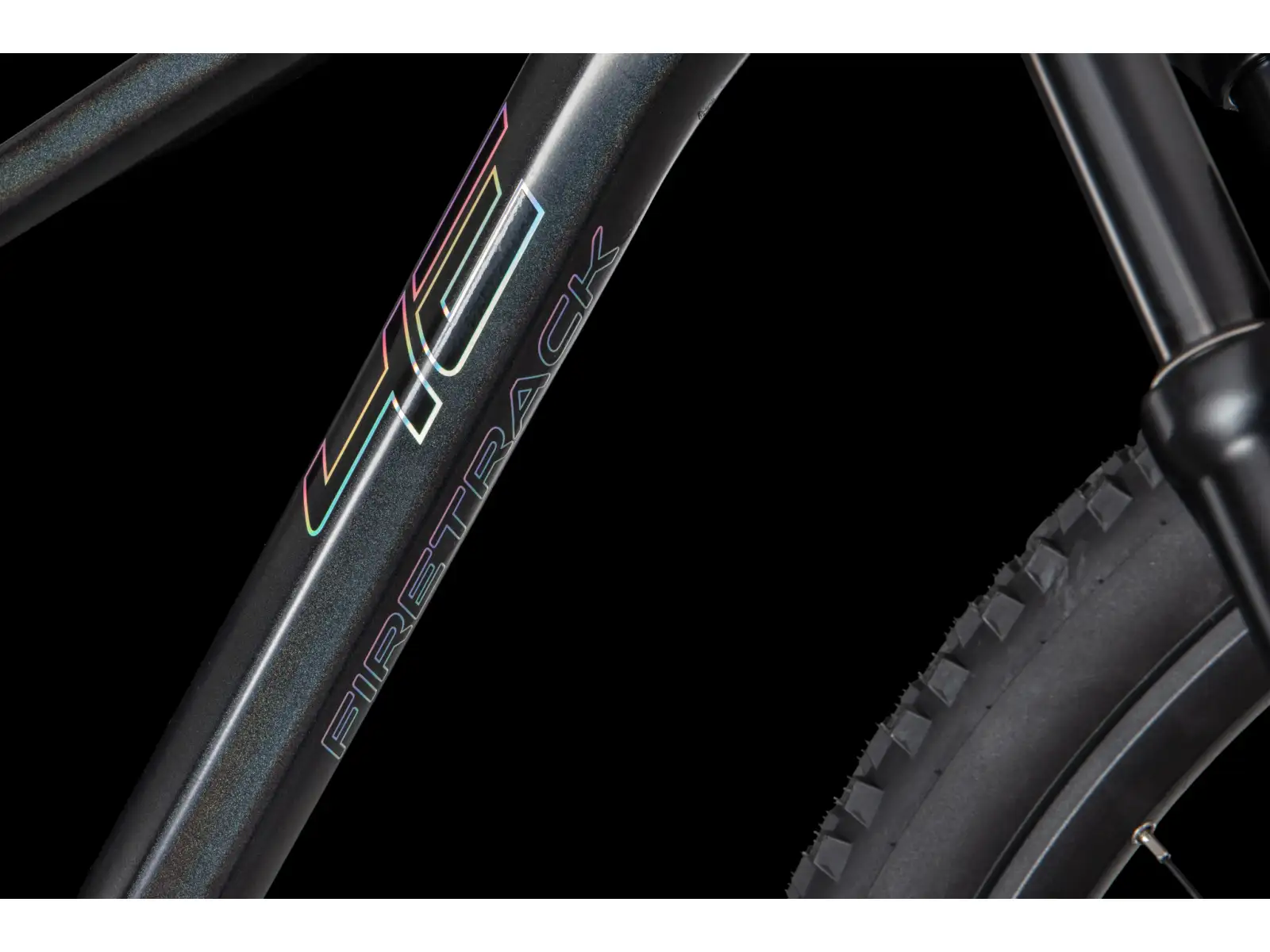 4Ever Firetrack TEAM mountain bike Chameleon/Hologram