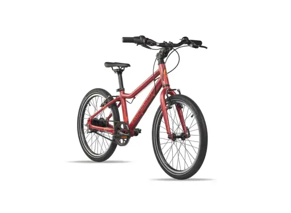 Academy Grade 4 Belt children's bike 20" red