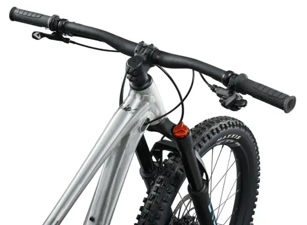 Giant Faith 24 children's full suspension bike Raw Aluminium