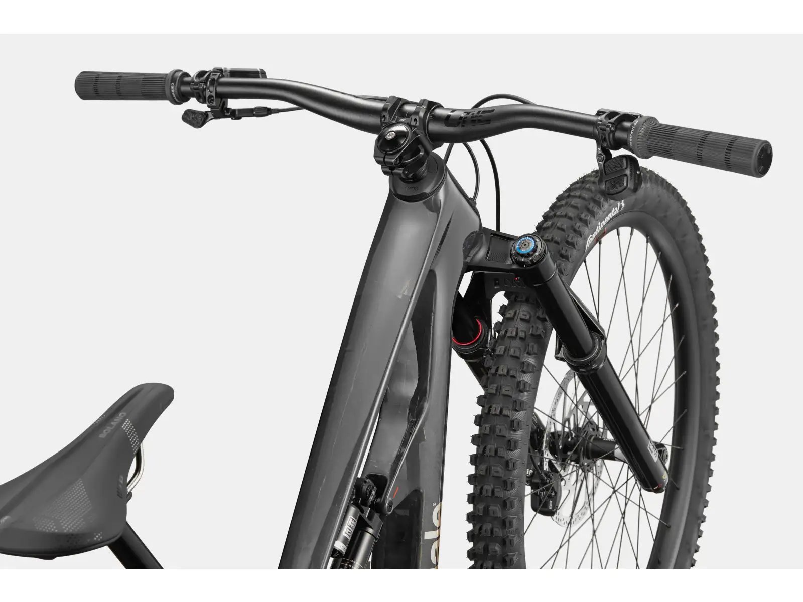 Cannondale Bad Habit 1 mountain bike RAW Carbon