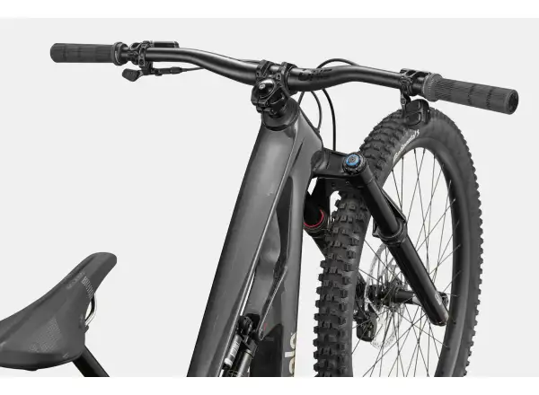 Cannondale Bad Habit 1 mountain bike RAW Carbon