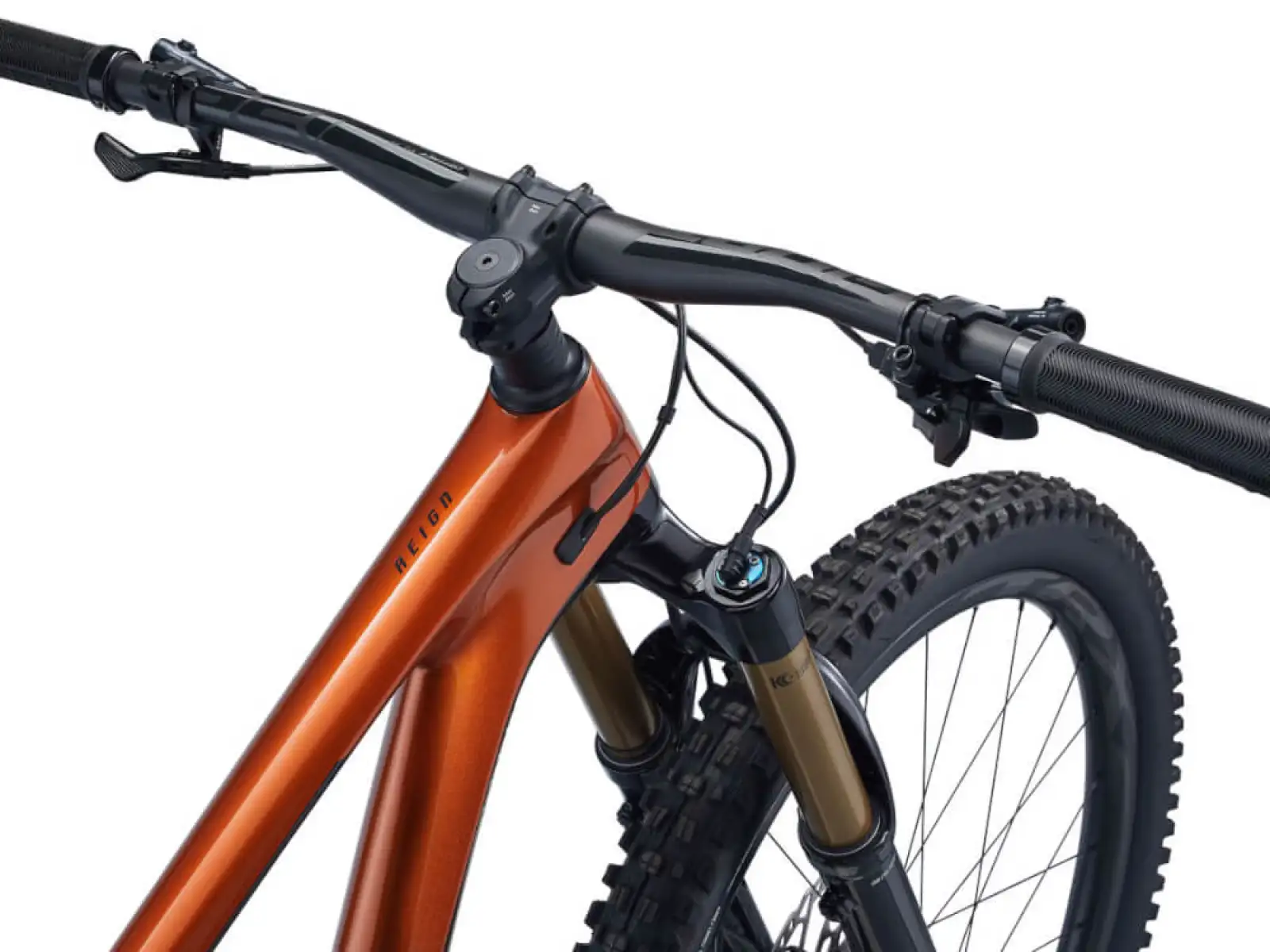 Giant Reign Advanced Pro 1 29 mountain bike