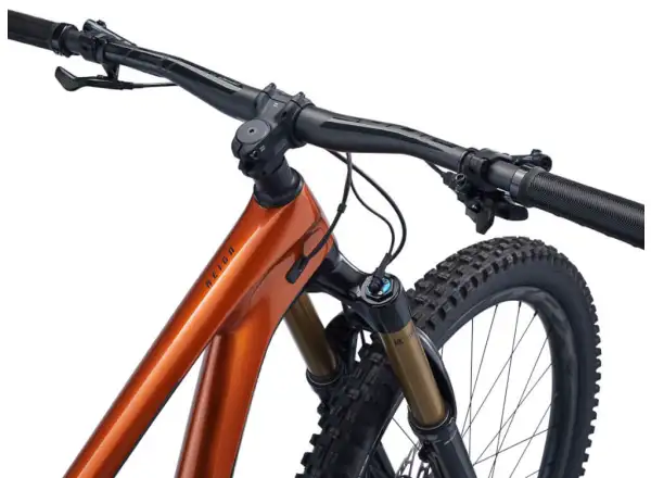 Giant Reign Advanced Pro 1 29 mountain bike