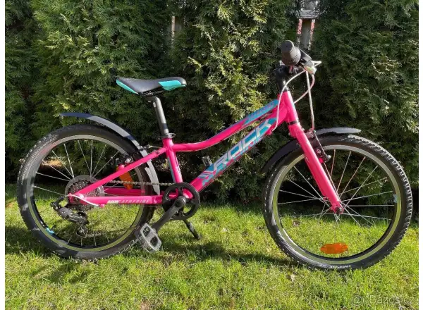 Rock Machine Catherine 20 gloss neon pink/Violet/neon cyan children's bike