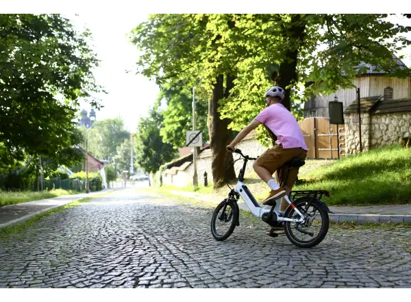 Ecobike Rhino Cruise 504 Wh Arctic White folding e-bike
